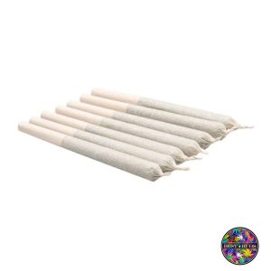 Cheese Outdoor Pre-Rolled